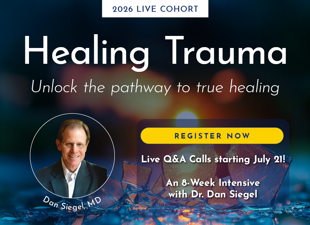 002416 Healing Trauma 2026 July 1080 X 783