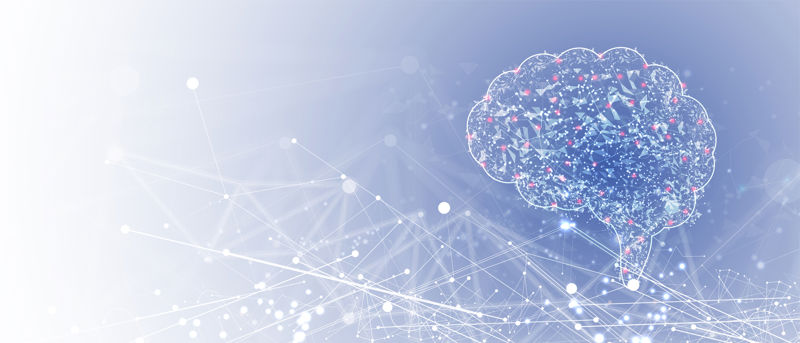 Consciousness And Connection