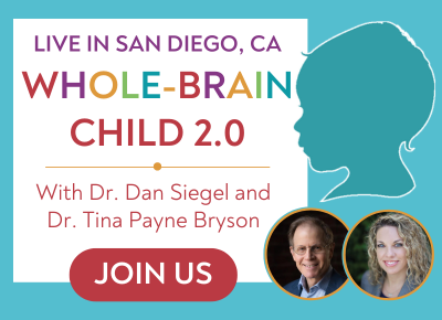 Banner Images (400 X 290 Px)