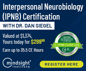 002286 IPNB Certification Dr. Dan Siegel MSI Banners 300 X 250